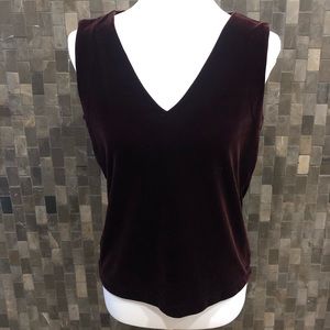 Banana Republic Burgundy Velvet Top